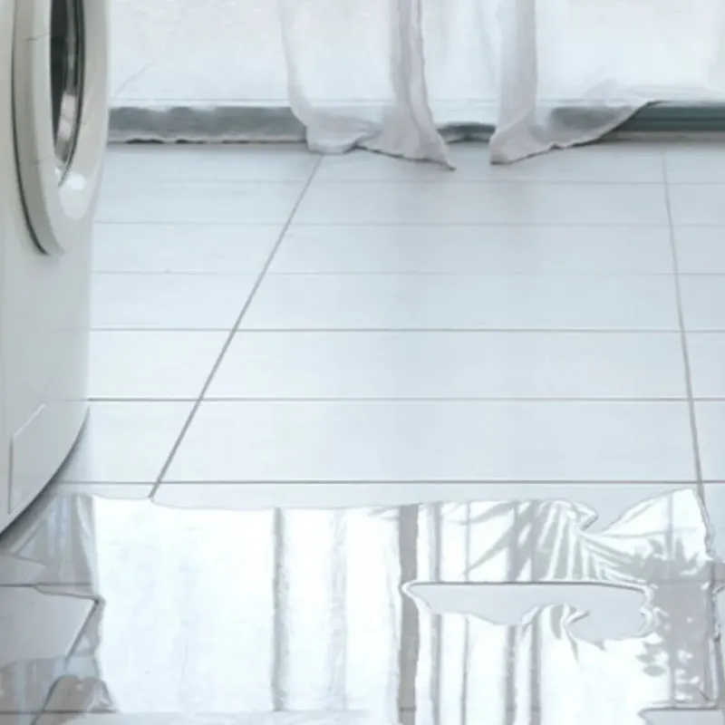 Appliance Leak Cleanup in Wrightwood, CA
